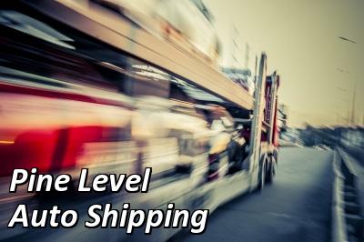 Pine Level Auto Shipping